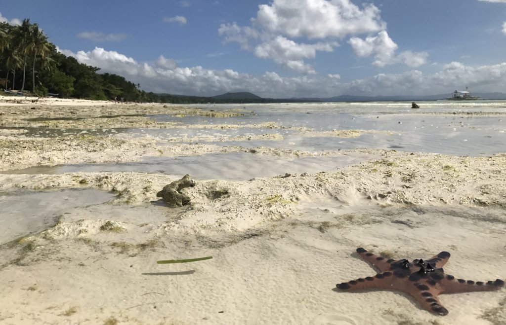 Kelionė į Filipinus - jūros pakrantė su baltu smėliu